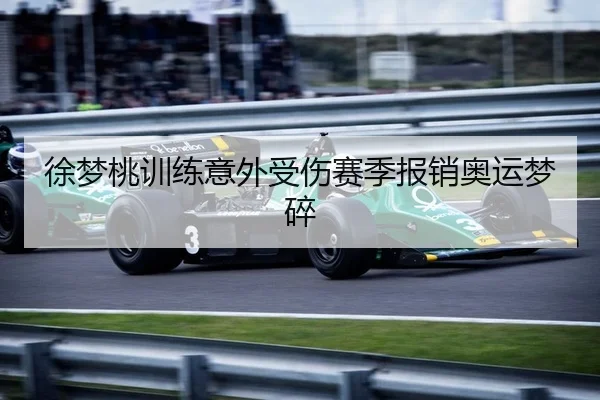 徐梦桃训练意外受伤赛季报销奥运梦碎